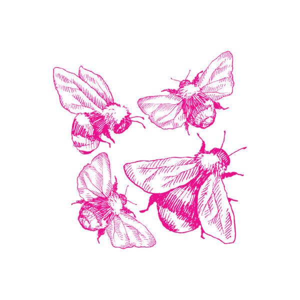 Buzz of Creation - Image 3