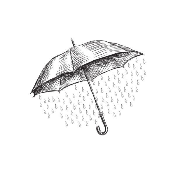 Rainfall Reflection - Image 3