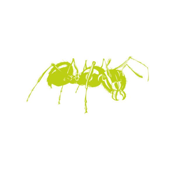 Green Ant Guardians - Image 3